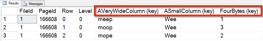 DBCC PAGE KeyColumns